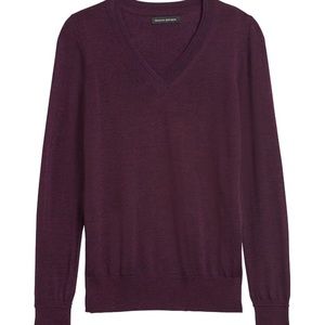 NWOT Banana Republic Merino Wool V-Neck Sweater